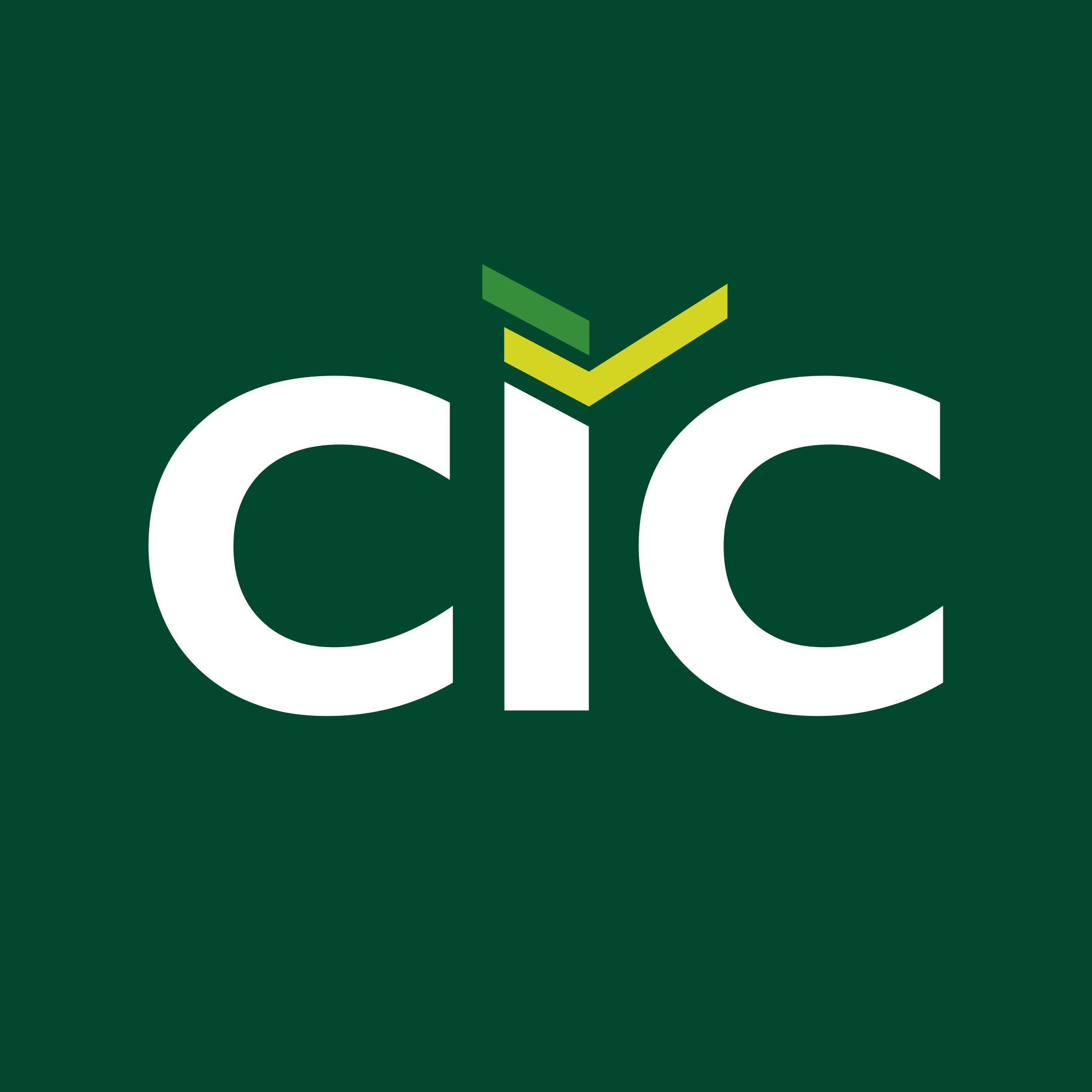 CIC Capital Partners