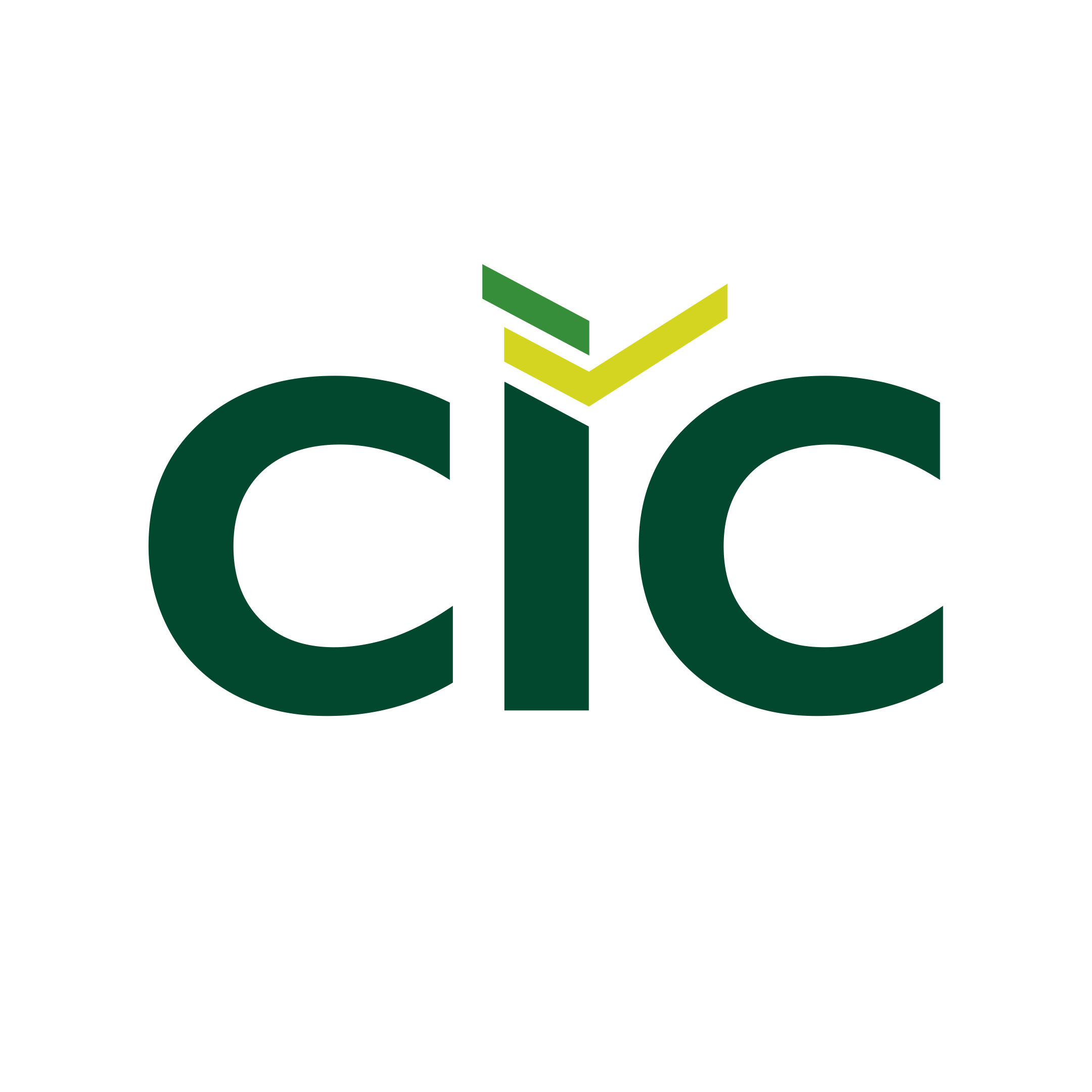 CIC Capital Partners